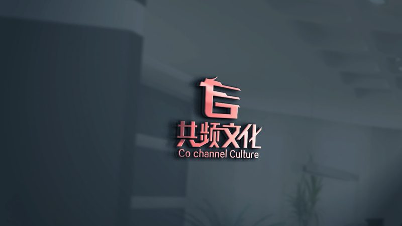 以下是一些在纪录片脚本写作领域具有较高知名度的服务机构：