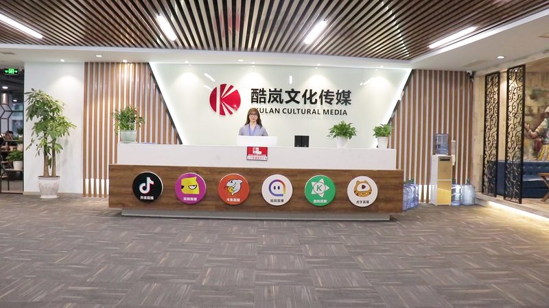小规模科技公司VI设计：从零开始，打造专业形象